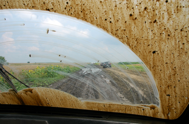 A Muddy View